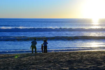 DSC_1269 (Large).JPG